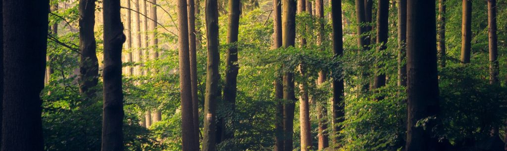 Terms & Conditions footer cta